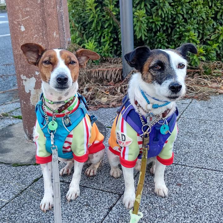 E6705571 afe1 4ab7 89d6 aaa5dc45540e 1636668796651