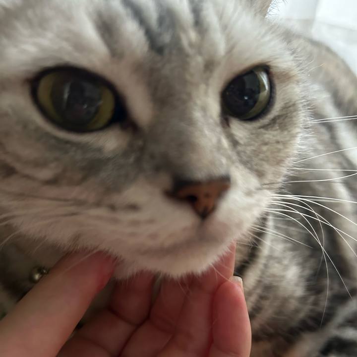 E6706b1a d814 4211 af0d 72038ab9f966 1759875881442