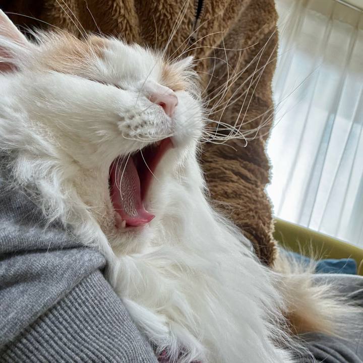 E6706dbc d512 4281 b848 4010c0361559 1772848895410