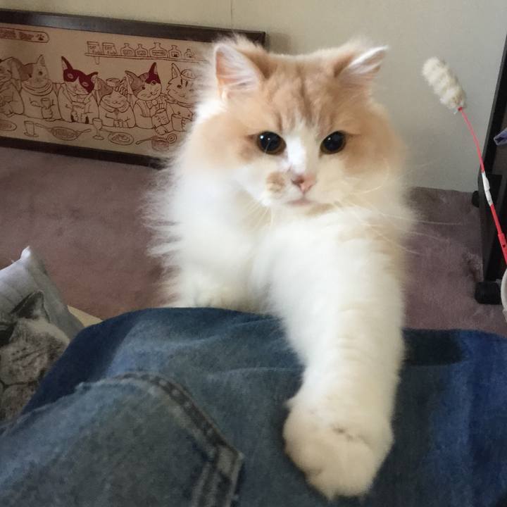 E6708ff4 d993 4e34 9ab4 770bb86c18a1 1560335908043