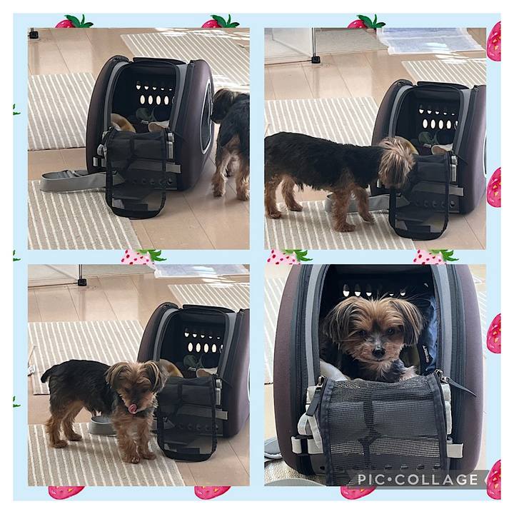 E670a95e 0d09 4012 8777 7dc6e200894f 1710109985442