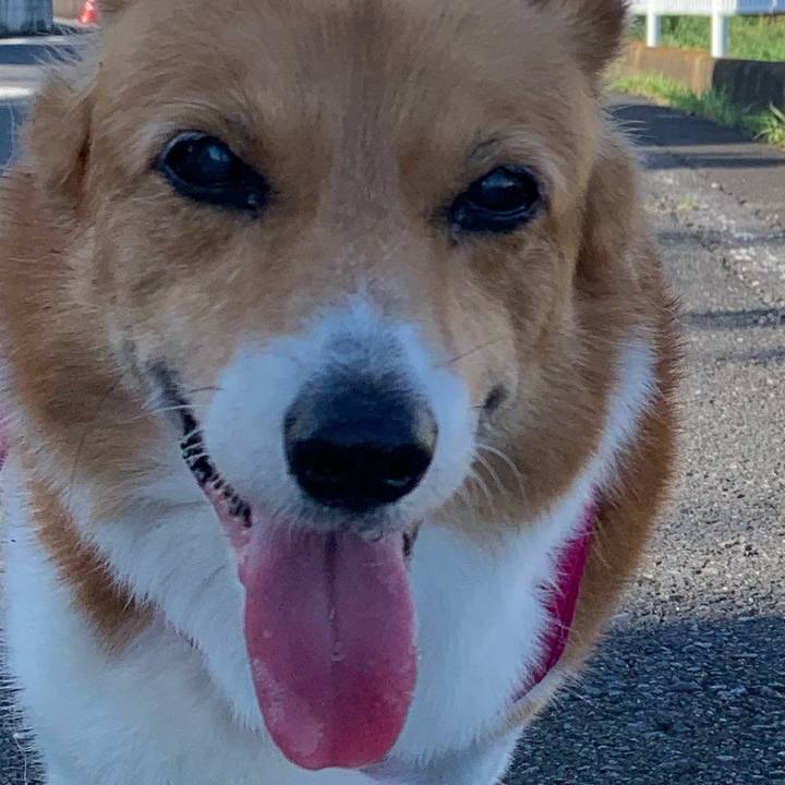 E670c618 e274 426a 90d4 3dc1e70a0e4c 1722552794485