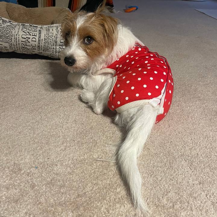 E670fc77 bb4e 4331 addc c2d45fa27dcc 1759695858045