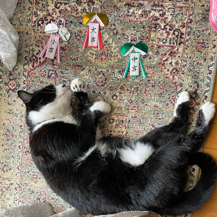 E6710d11 6ea7 4c8e 852e 931b9380cf50 1722826102199