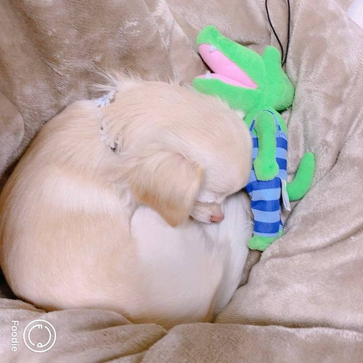 E67122a5 a0c0 49aa b463 04699fc95900 1605604851382