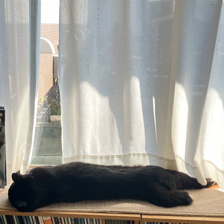 E6714ddd cc8c 4380 a41d ff21529f1eca 1734412894719