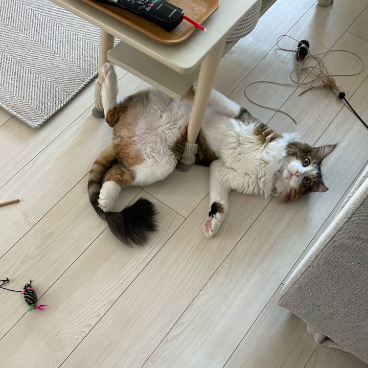 E6715b14 4275 41e3 b29c cf9bf43e4b48 1661375884444