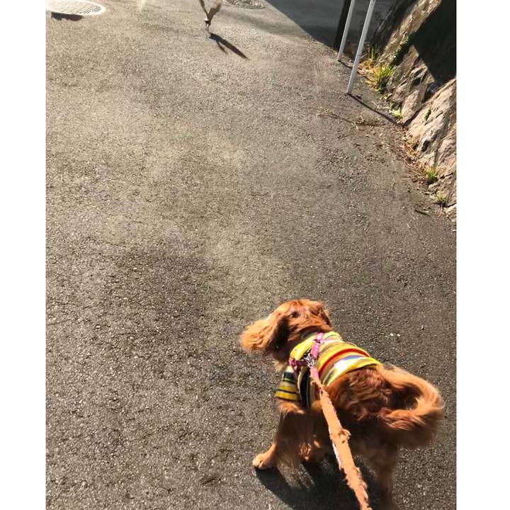 E6715ecb 212d 405f a99b 39f9e52a247d 1645316130811