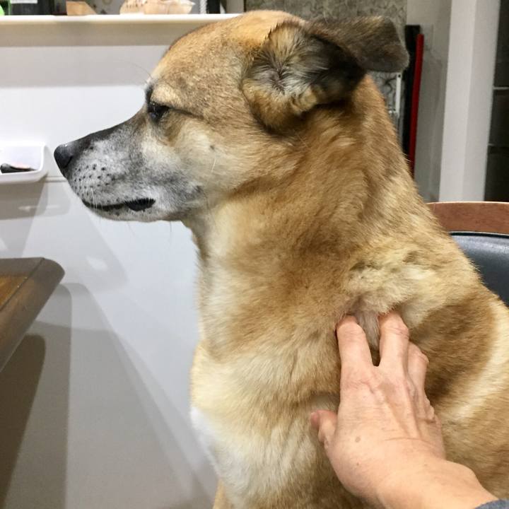 E67188ec 27e4 45a2 8fc0 242cc0174593 1552647613295