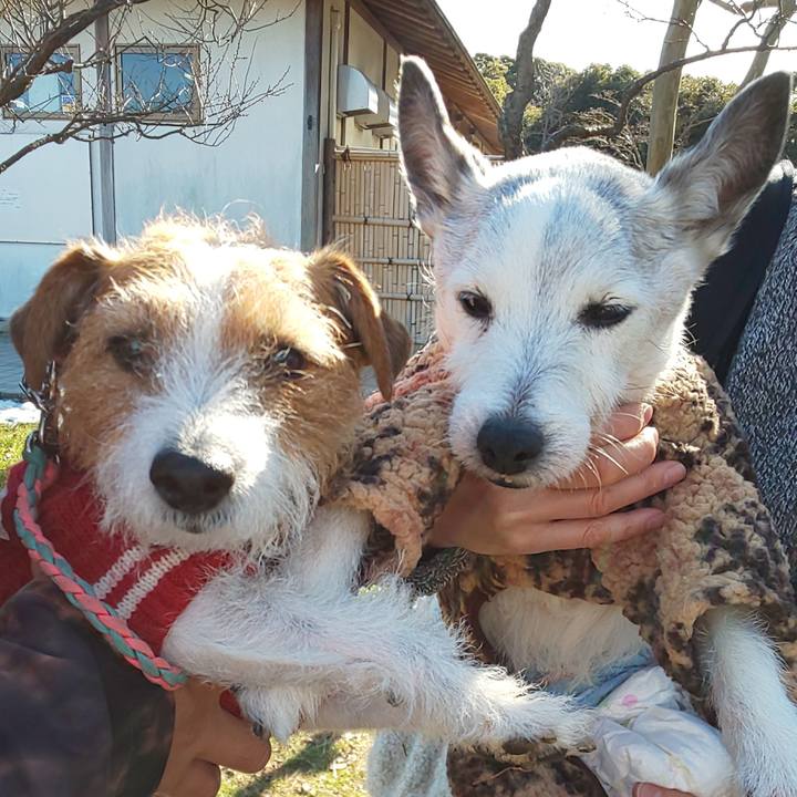 E671b361 801d 444f ac51 6457a010f656 1641735733138