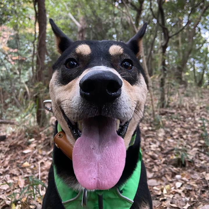 E671b8f4 6c39 4397 975b c653a3d85dc3 1576370252626