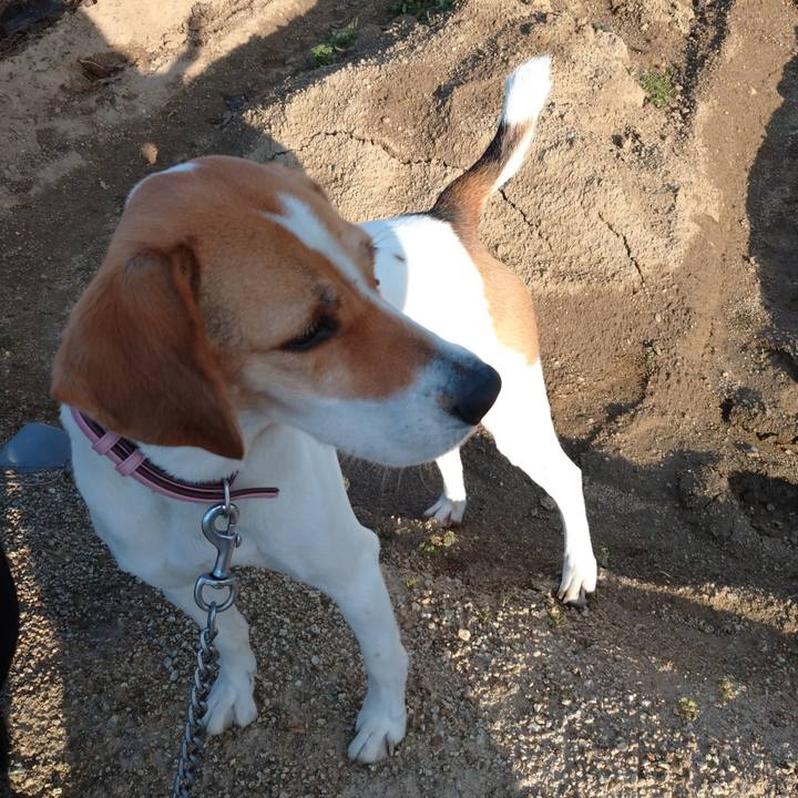 E671cf30 4a8e 4694 891f c7cc00c9dfee 1581314561655