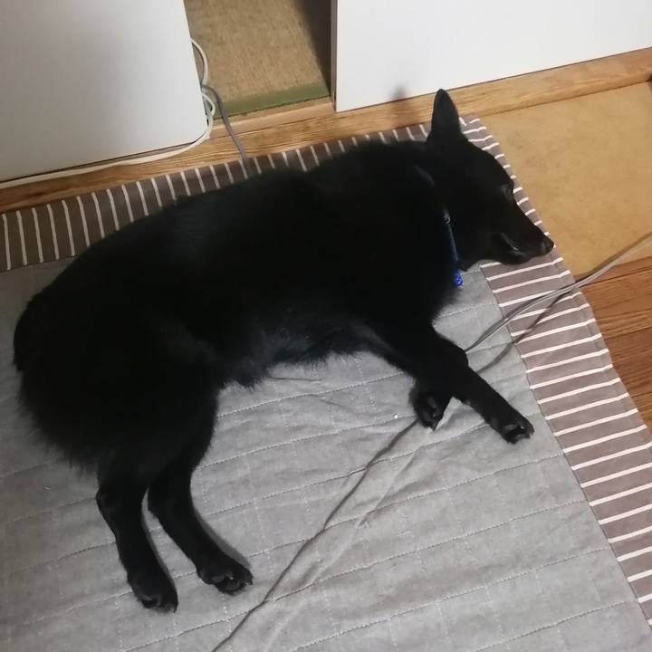 E671da46 3c68 4a86 9549 55a6679604a7 1633349868444