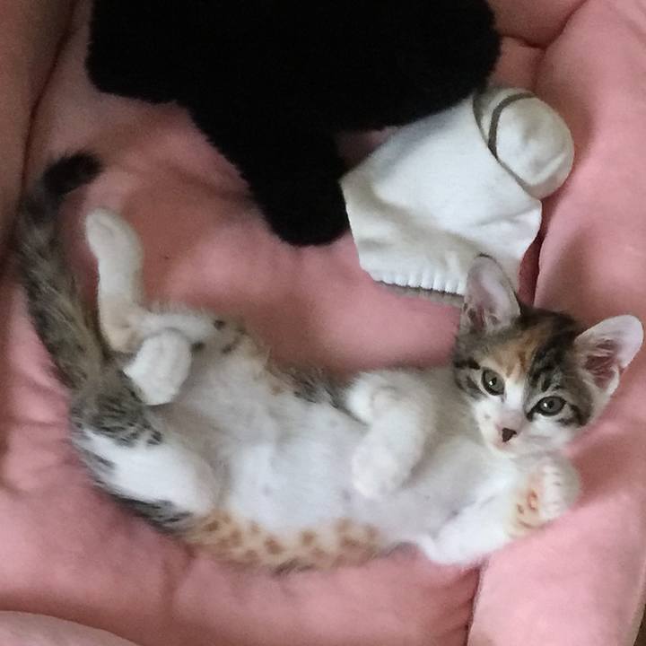 E671ece4 1b36 480d aec8 45a969905843 1631051288244