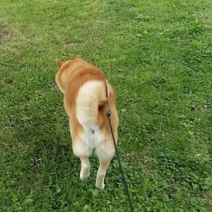 E672010e c312 4734 9dc5 f0b137c8d55c 1683954797324