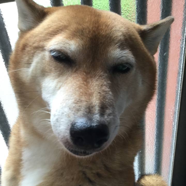 E6724ebd 89e3 4770 a894 369717547d3a 1571455294015