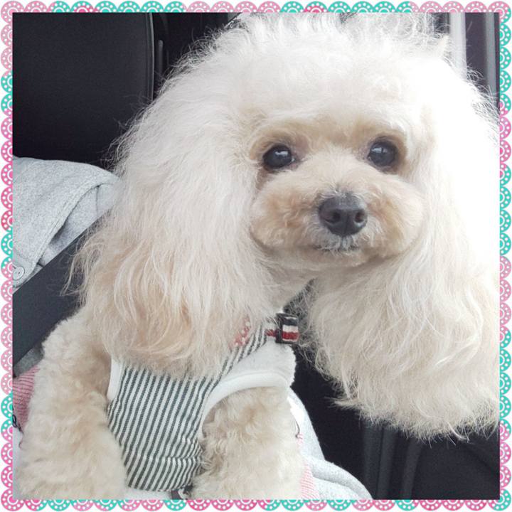 E6727d56 9db0 4d1e b88a a9236512f974 1677151136844