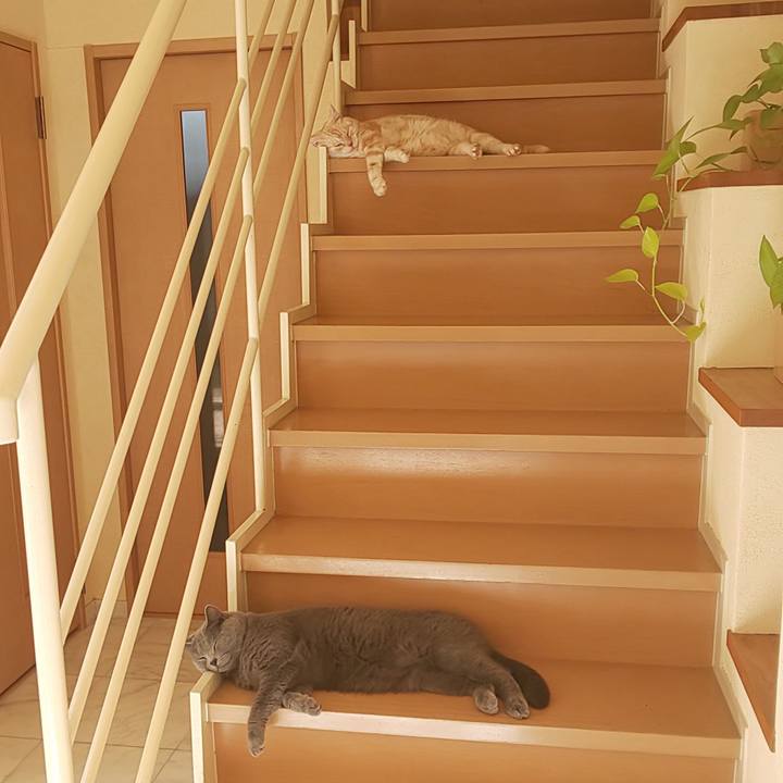 E6730d46 9c45 40e7 b6de 101b0a004224 1568684577784