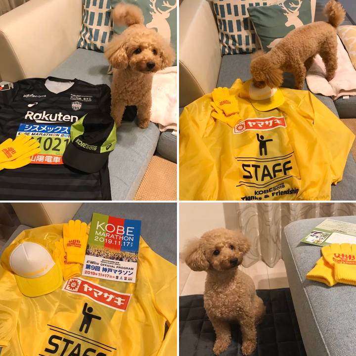 E673946c 412e 43db 8a2d 79f003f7c218 1573912552564