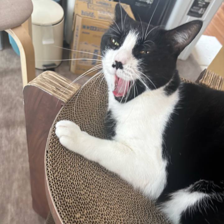 E673e56b 1cd9 4b01 a43b 83822898ded9 1758852936111