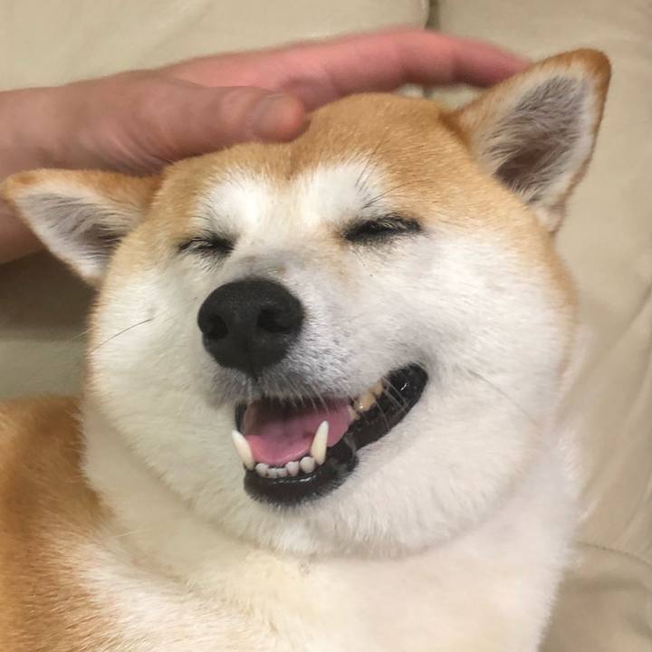 E673fecb 4800 4519 9d30 80903ac1837b 1592352690897