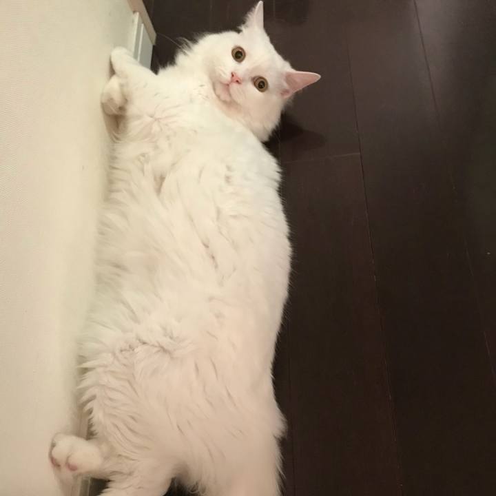 E6742a8a 8020 4552 89d1 eb2a031e0c8d 1529034871387