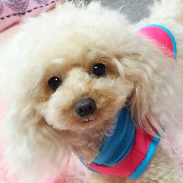 E67499cf 97dc 4120 95b2 a23f42d9ac0a 1539936972619