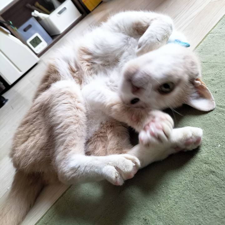 E6749ef1 1c22 4732 877e c88ac5239dda 1679527570813