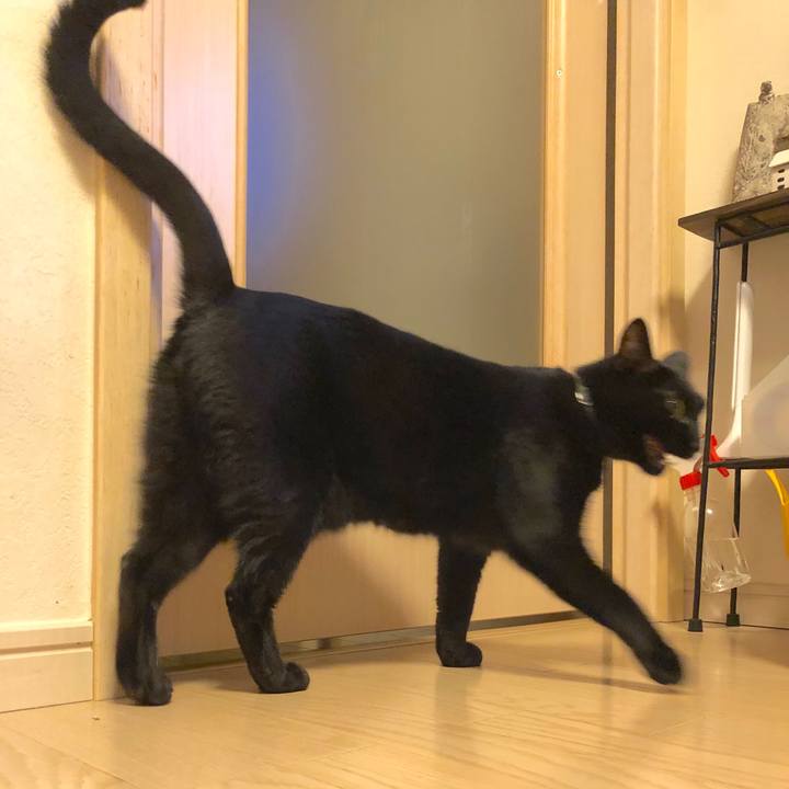 E674da13 899a 4f8b b8fc d4e49e602c58 1573562444537