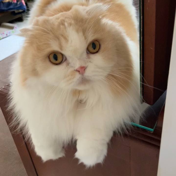 E67500a9 0cd6 4287 ac5f 8f0cacd918aa 1619960870603