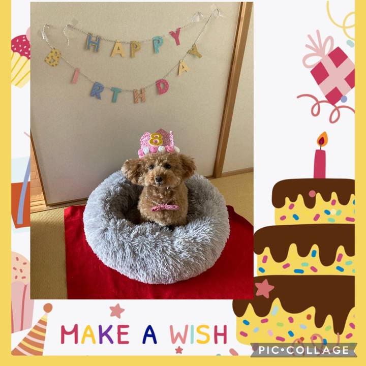 E6750823 642b 41dc 88c6 c5db9acb038b 1618477661914