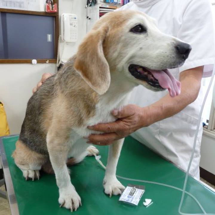 E6751407 7d37 4bb6 97db 71f1305d9802 1693702074806