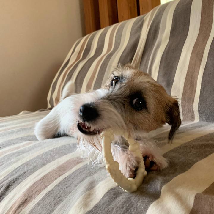 E6751618 fd30 4dae a025 7eb3849730d3 1599529222629