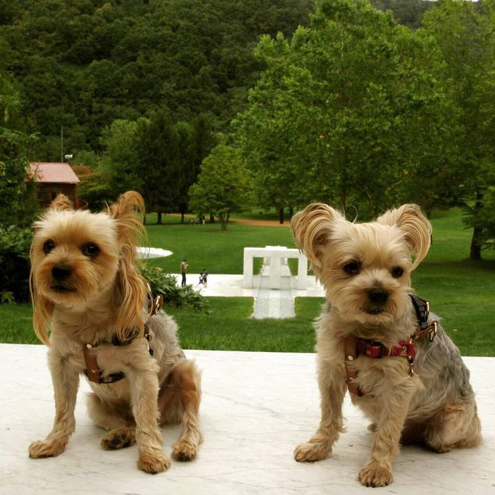 E675240b e386 4d1e b830 be56c35b7474 1537084898239