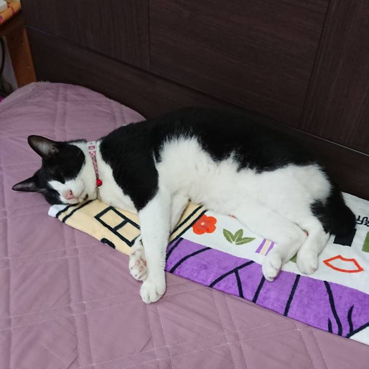 E6752c1b 067d 4c0b 9eae 83d8eb1e2702 1628902446794