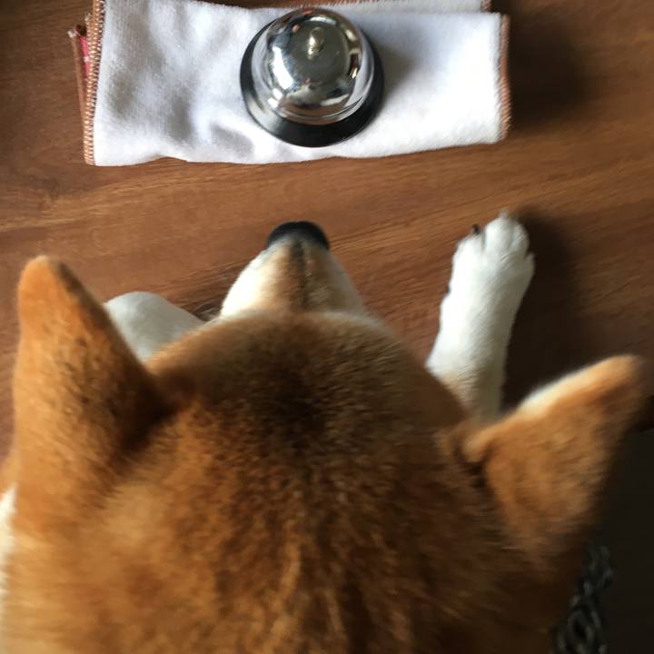 E6753b66 4c6d 4d53 8ab5 56929e0dc497 1611625596182