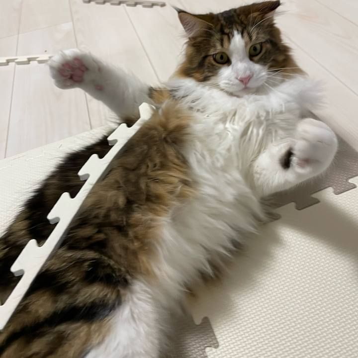 E6756884 036a 48dd a60f 8c08d6d725df 1647257499965