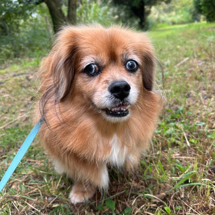 E67593a2 31b4 45e2 955d a035c47bf28d 1760135950405