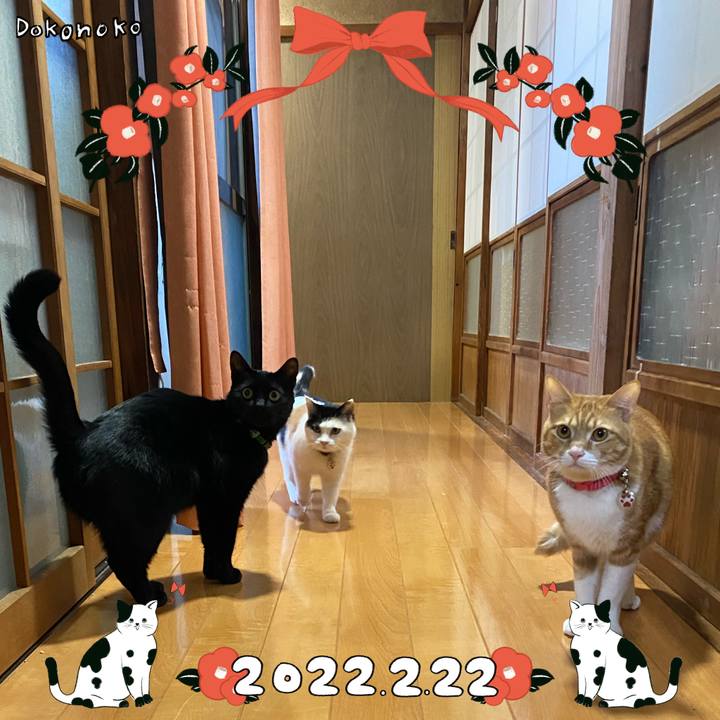 E675ccae 4c39 4515 9c9b c4c95446250c 1645519851438