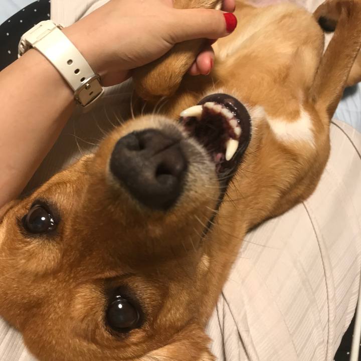 E675f9de 265b 4c78 99fc 02c84ee2a128 1537738753584