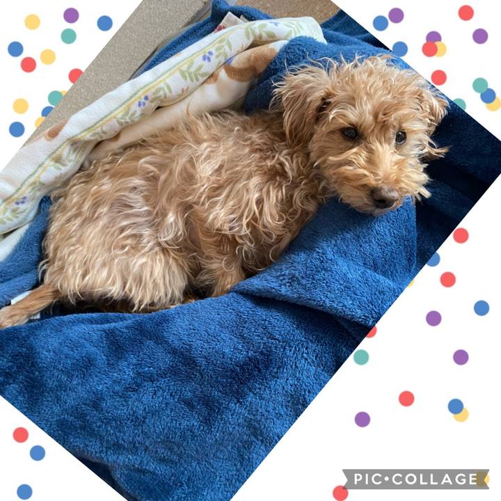 E6761c7b c19e 4fba aca4 7fa03f62664e 1676587564746