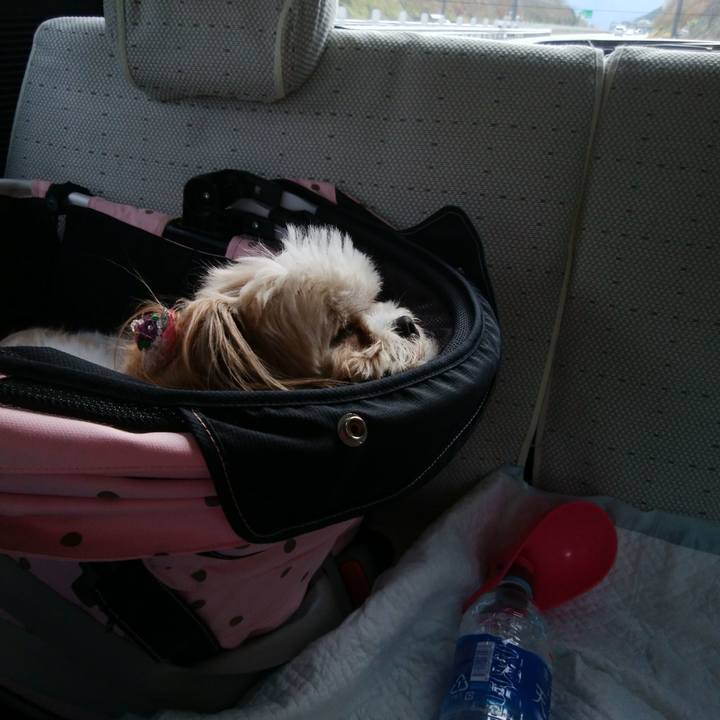 E6762232 a988 4439 aec7 e91d2237e1e7 1521873288992