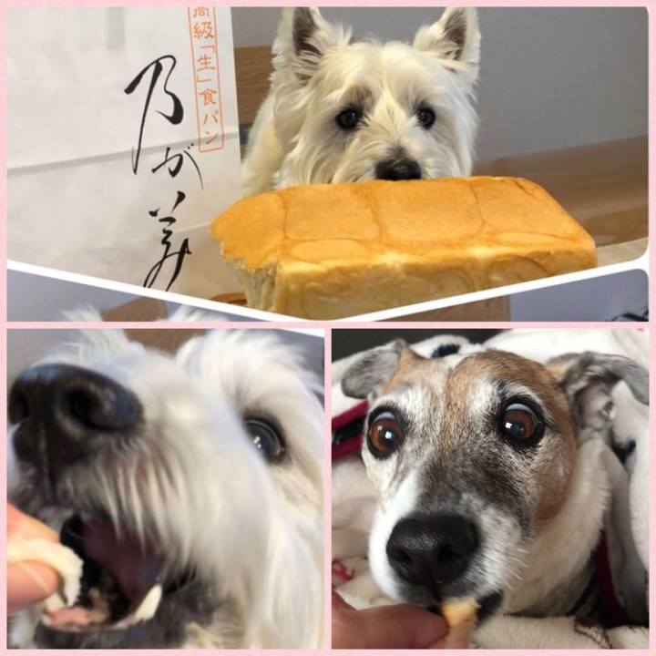 E67624bf 996f 44a1 8988 8c9e232bc342 1523586907345