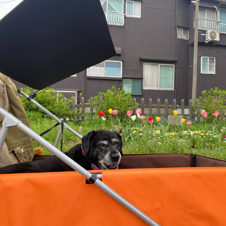 E6763b4f c079 4d6b 8d9d 5d5c7529770b 1712850143173