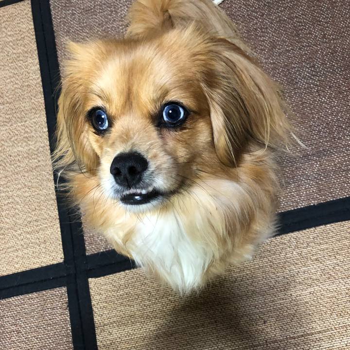 E676858c 5010 4164 ad00 1368fabcfb9b 1554758610692