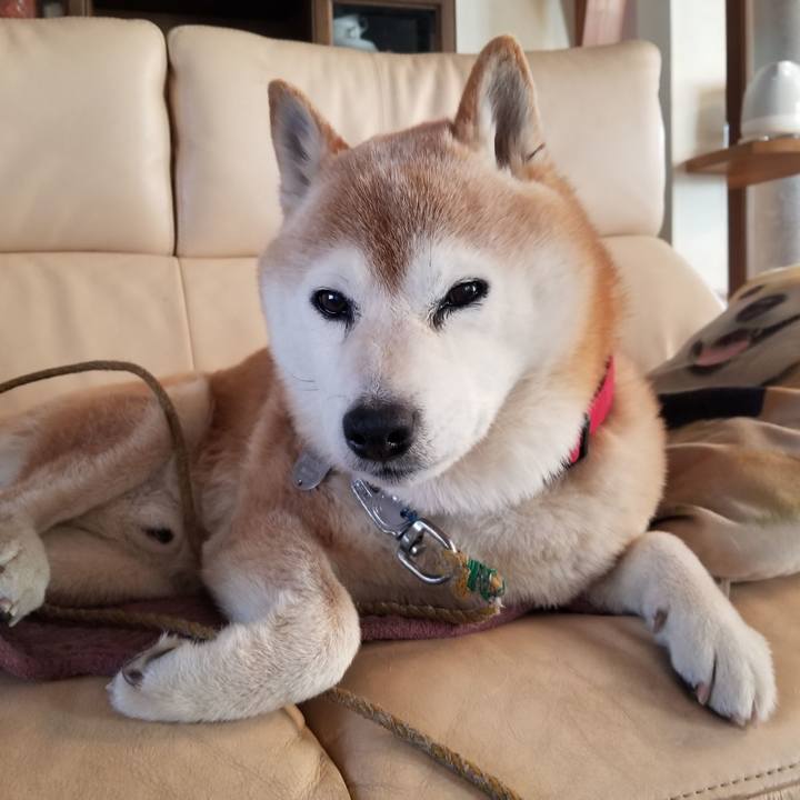 E676aefc df12 454f 8ea6 92bf04b3e29d 1710288557625