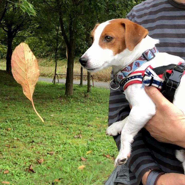 E676c0fa 7e23 49f7 8cfd 8b93052b79fd 1601774626115