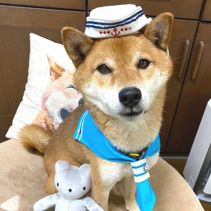 E676d58e dfb9 4087 ad9d 746e5deed821 1594454918476