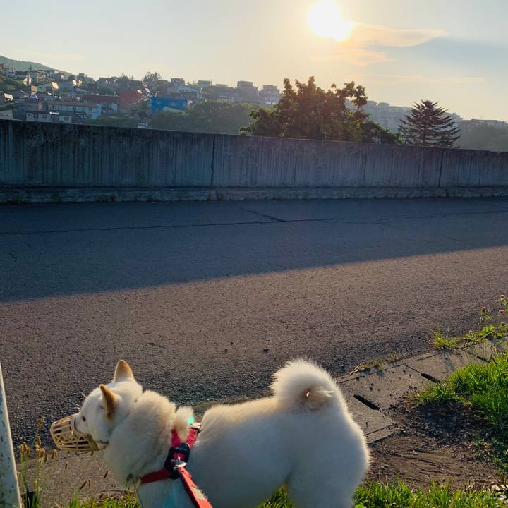 E676d8c3 02ae 4816 bdff 35faa83ab41b 1564695472570