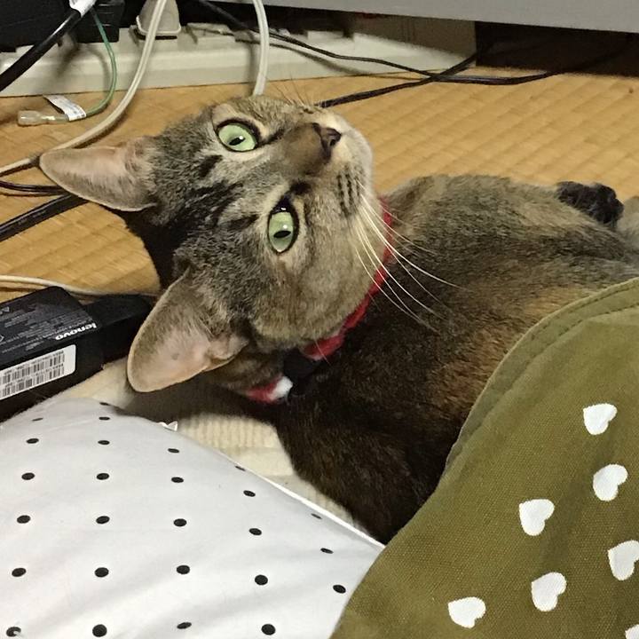 E6770838 e07e 4a9f 9259 cc2a348d3a8c 1607078062212